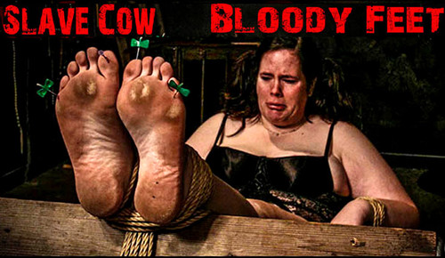 Bloody Foot Porn - Brutal Master Slave Cow â€“ Bloody Feet (10.12.19) | Kinky Porno BDSM Fetish  Video | kinkyporno.biz